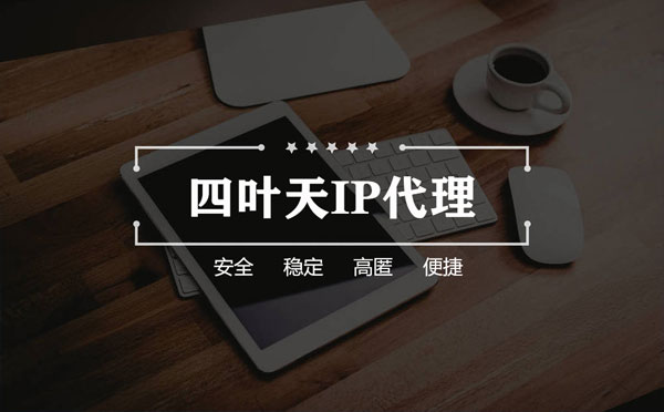 【铜仁代理IP】如何快速搭建代理IP？怎么检查代理的效果？